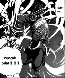 Pencak Silat.jpg