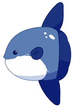 Mr. Sunfish | KennYon Wiki | Fandom