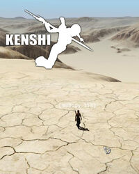 Kenshi