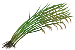 Рисовая трава