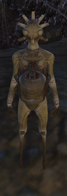 Hive-Queen.png