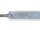 Plank