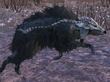 Bonedog