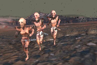ErrorCode 0x000000 | Kenshi Wiki | Fandom ErrorCode 0x000000 | Kenshi Wiki | Fandom