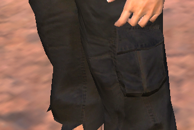 パンツ Kenshi Halfpants (ragged) | Kenshi Wiki | Fandom