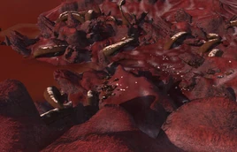 Berserker country 2