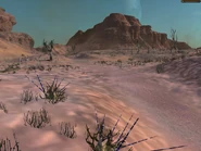 Border Zone 6.jpg (476 KB)