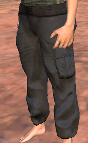 Cargopants (R).png