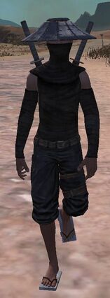 Blackdragonninja-0.jpg
