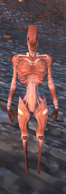 SouthHive-Worker.png