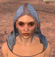 KusariZukin.png