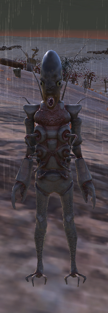 Fishman.png