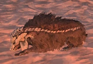 Bone wolf.jpg (81 KB)