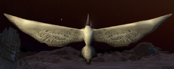 Bird.png