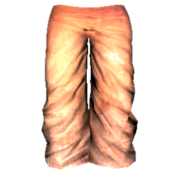 Rag Loincloth (Dyed), Kenshi Wiki