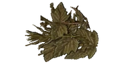 Old Riceweed.png (28 KB) Outdated icon