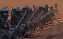 Grass pirates.png