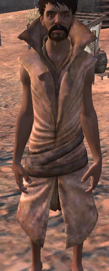 SleevelessLongcoat