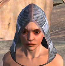 KarutaZukin.png