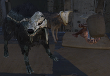 Suspiscious Settler with his pets.png