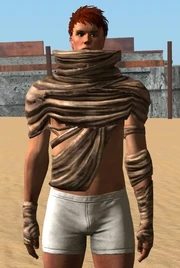 Slave Shirt
