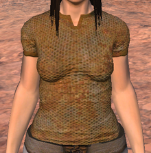 RustyChainShirt.png