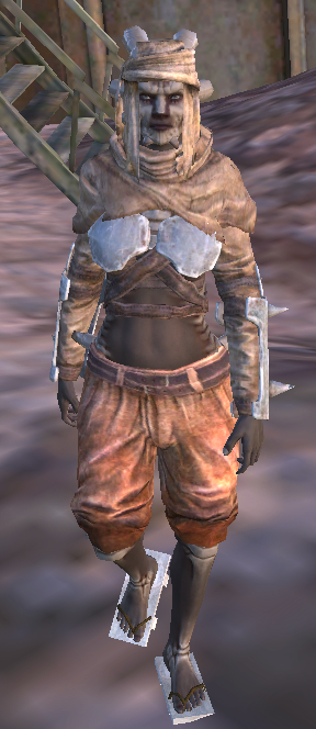 Armoured Rags, Kenshi Wiki