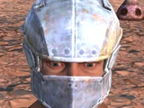 Masked Helmet