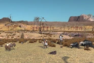 A squad of Bonedog bodyguards entering the fray