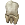 Human Teeth.png