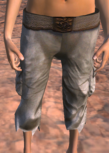 Halfpants(P).png
