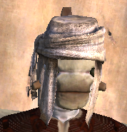 Turban equipped.png