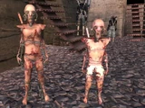 Human Skin Suit