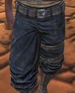 DriftersPants.png (396 KB)