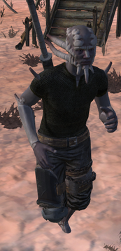 BCS.png
