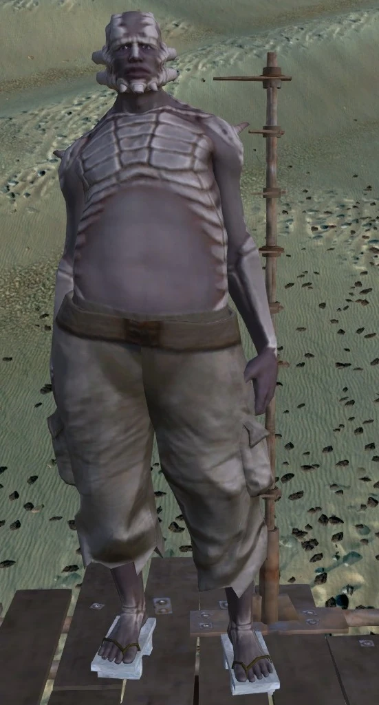 Kenshi шек art. кенши королевство шеков. шеки кенши столица. кенши шеки города. Kenshi города шеков.