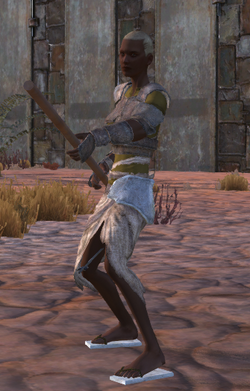 Armed citizen.png