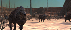 Boneyard wolf.png