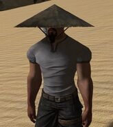 Old Kenshi