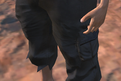 パンツ Kenshi Halfpants (ragged) | Kenshi Wiki | Fandom