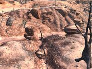 Border Zone 7.jpg (795 KB)