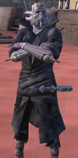Dustcoat model.png