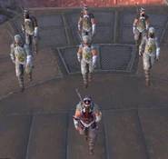 An Inquisitor leading several Paladins and High Paladins.