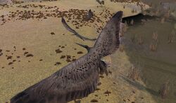 Birds.jpg