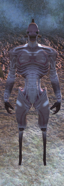 SouthHive-Prince.png