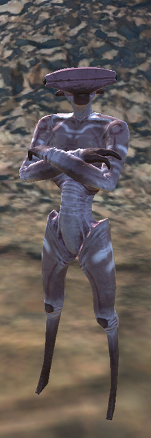 SouthHive-Soldier.png