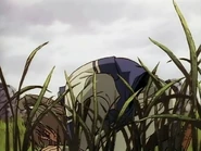 Akamatsu asking for forgiveness to Kenshin