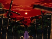 Shinta's makeshift graveyard