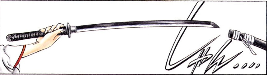 Ten Ryu Sakabato Reverse Blade Sword