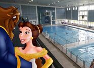 Belle and Beast happy to stay together at Tynemouth Pool